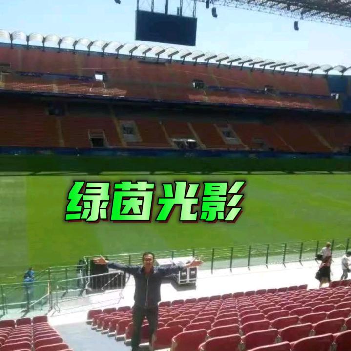 绿茵光影