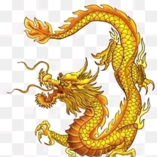 秋姐3