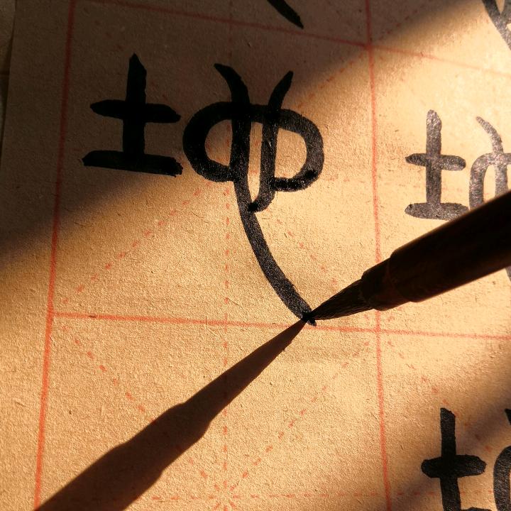 蔡圆滚滚