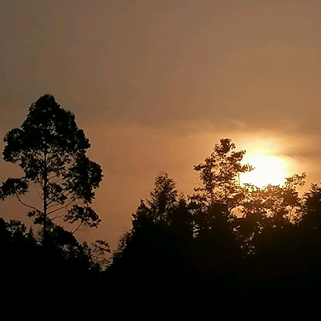 蜂蜜罐子里找熊二