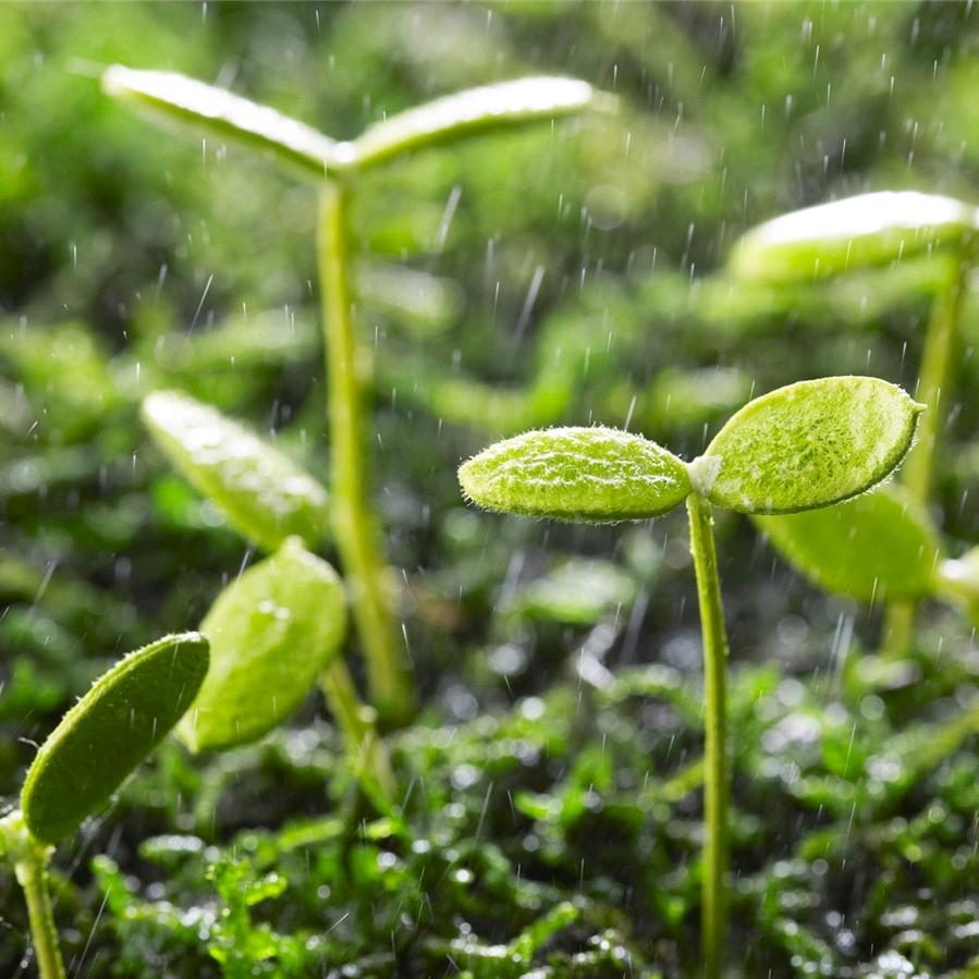 ༺ ๑巨蟹座🌞๑҉ ༻