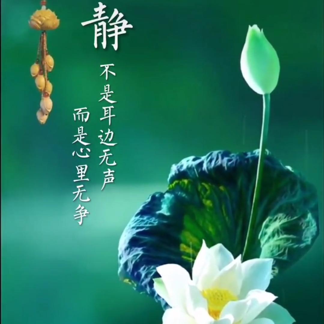 静恩🙏睿慈