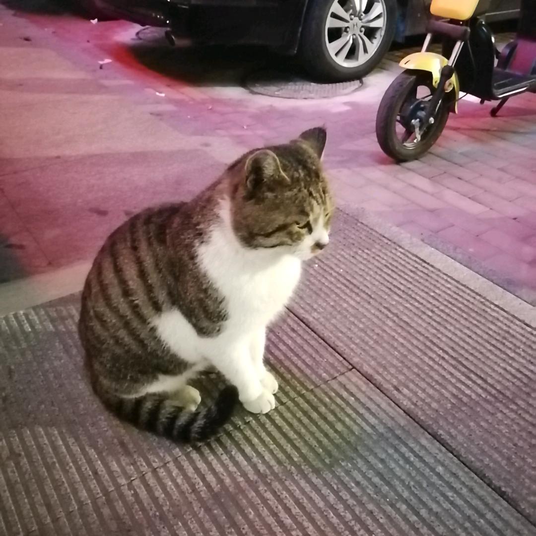好好、