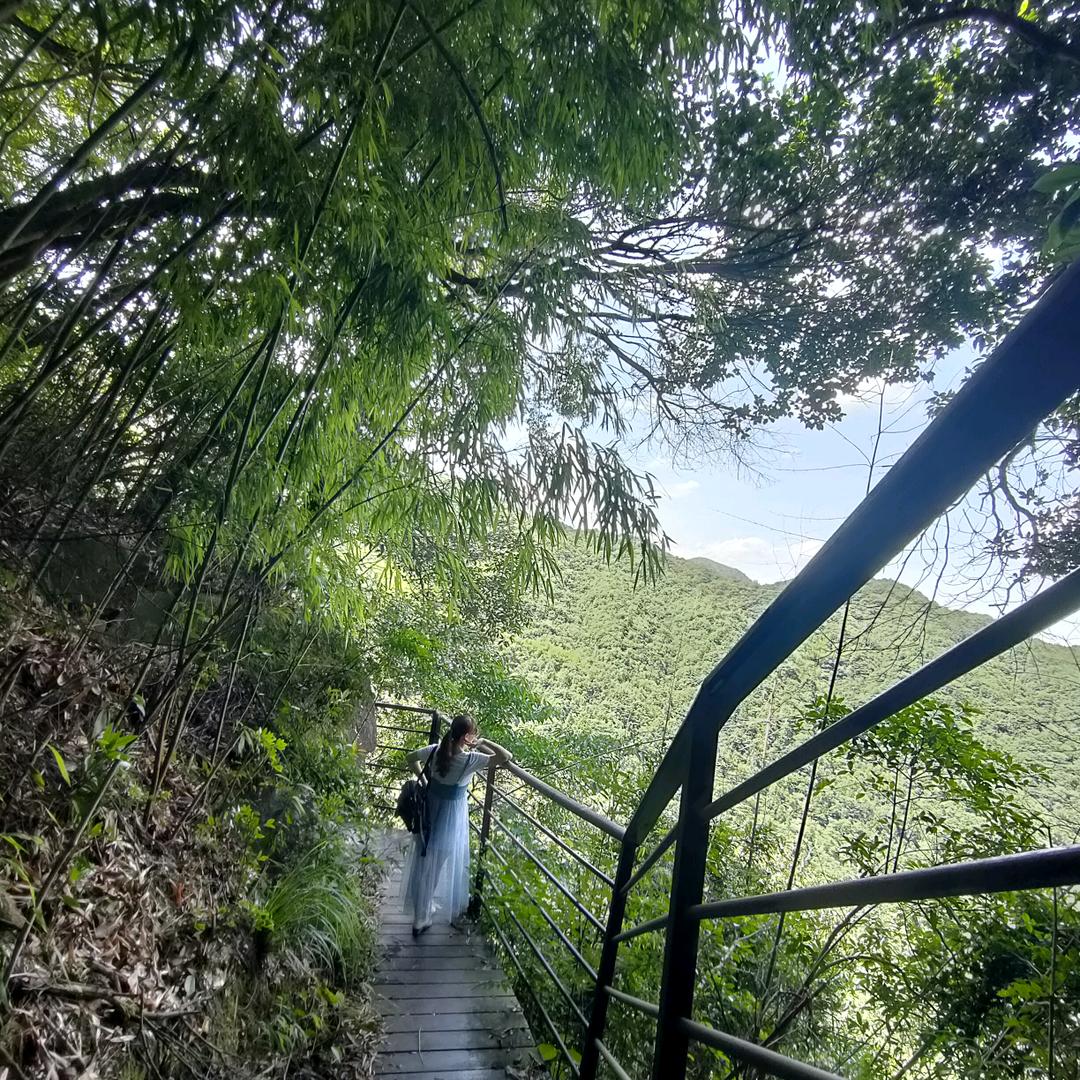 绿叶75888