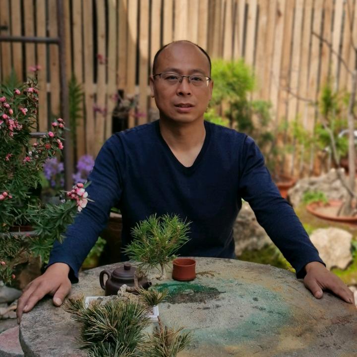 大龙