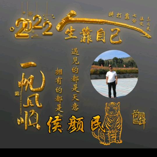 愤怒的傻子