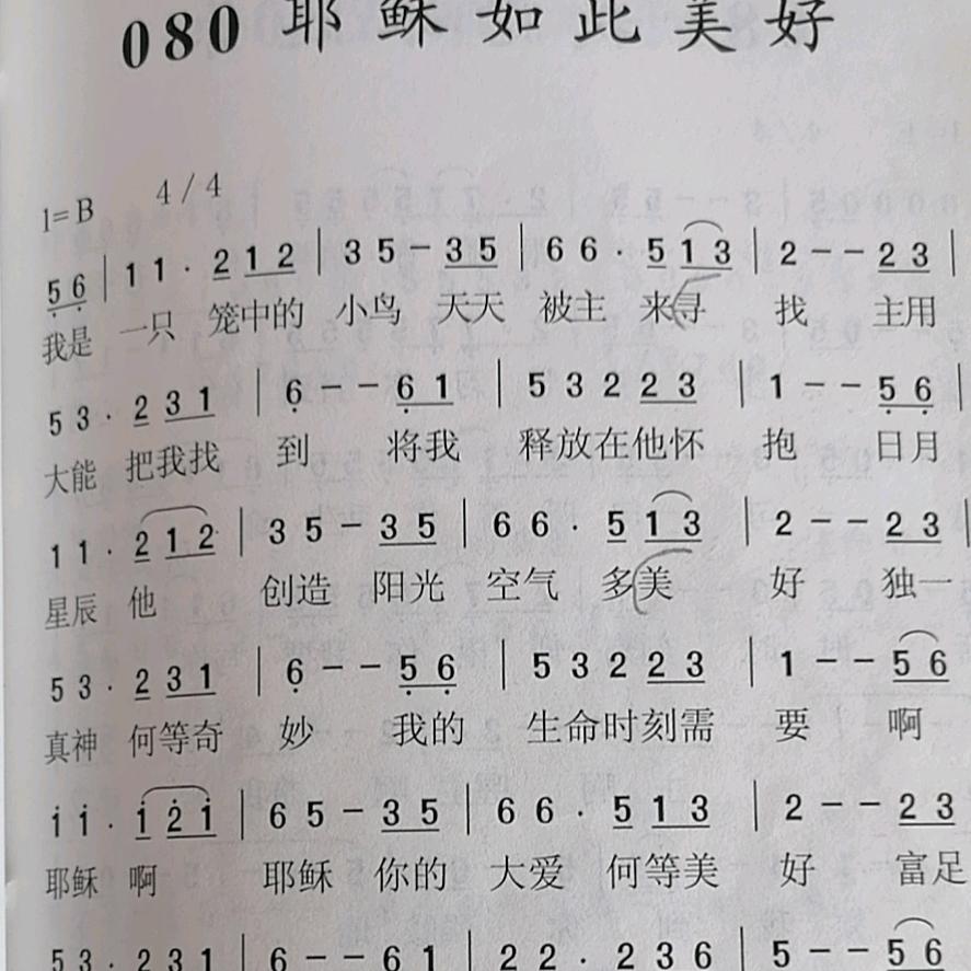 开心每一天_1876