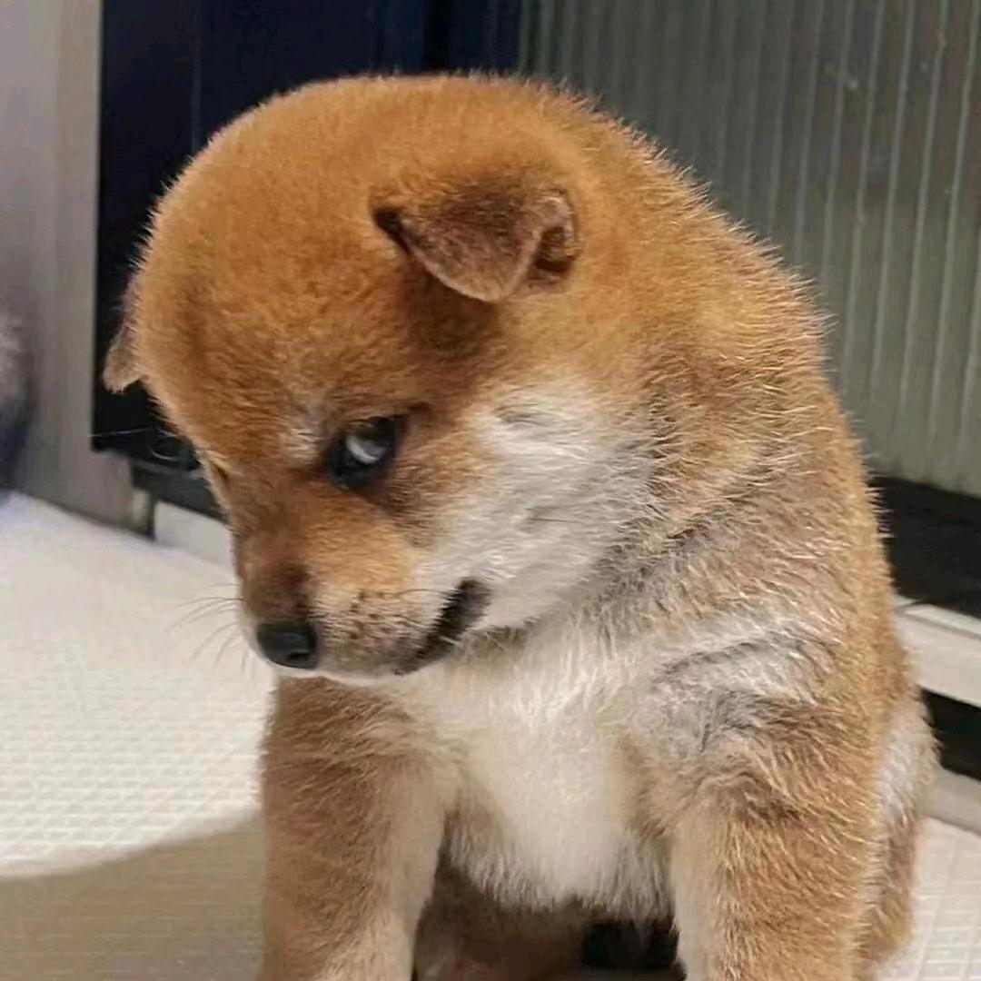 永恒的心，幸福一生