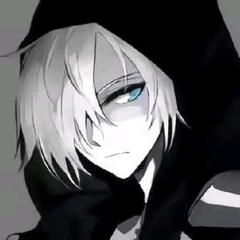莫莫推文