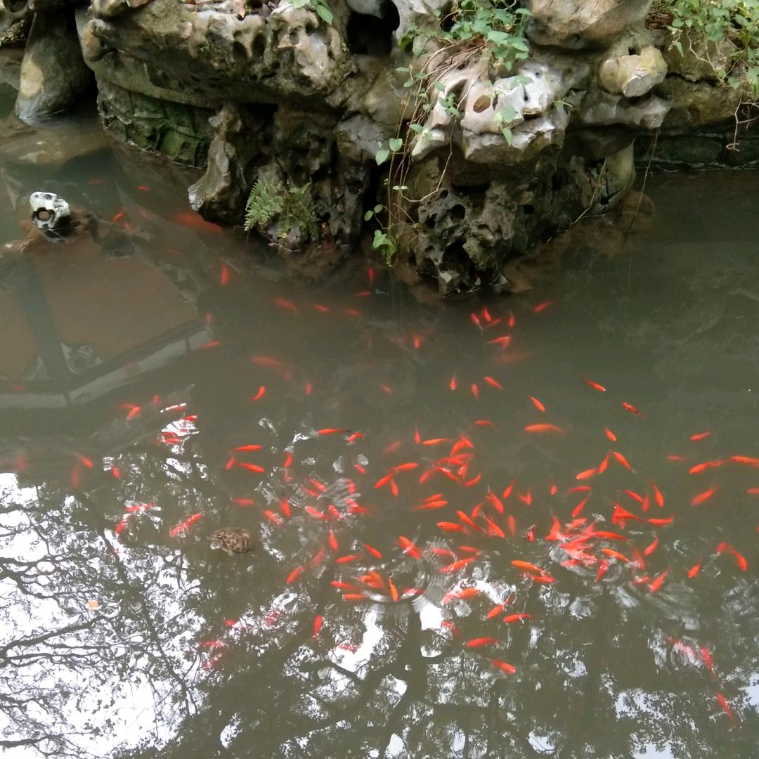 烦恼只因强出头，是非只因多开口。