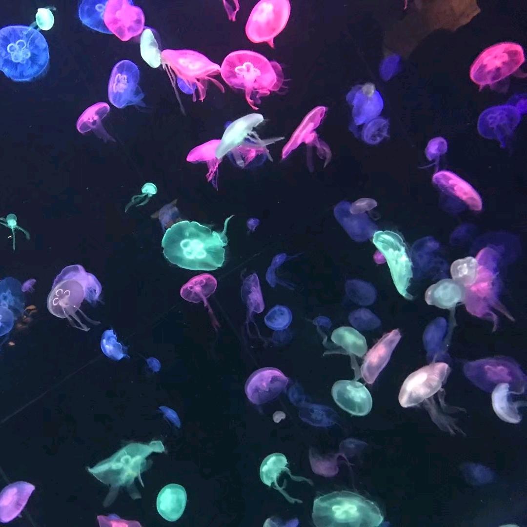 对自己好点