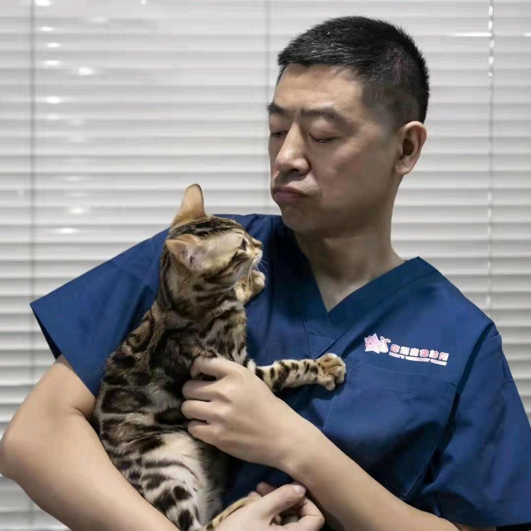 宠医张昕