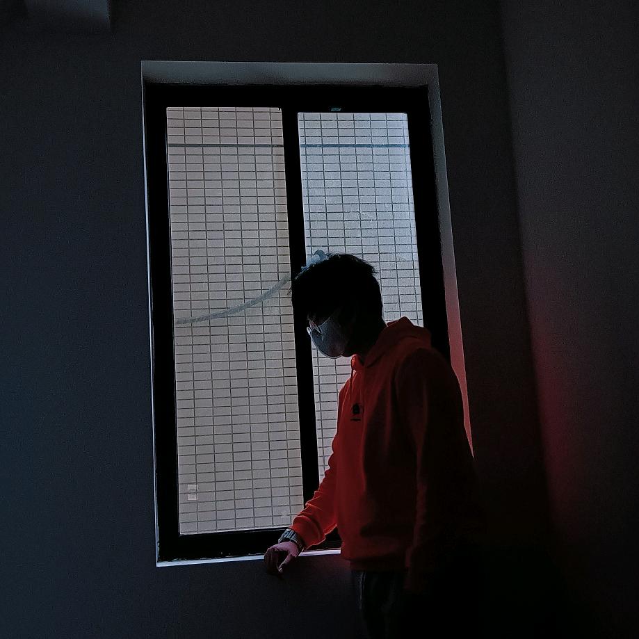 柳歌觞