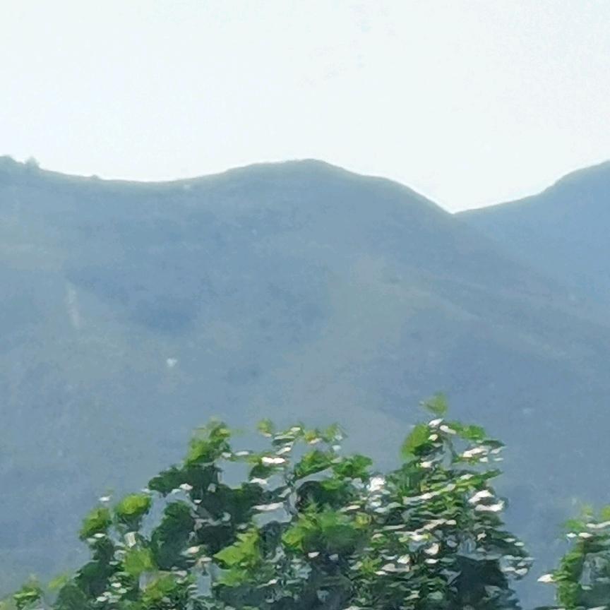 涿州马哥（一世情缘）