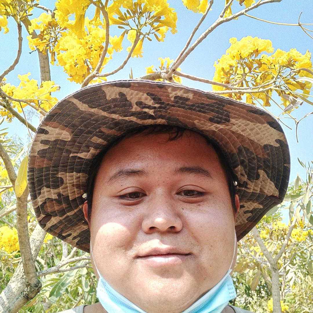 崖上红茶