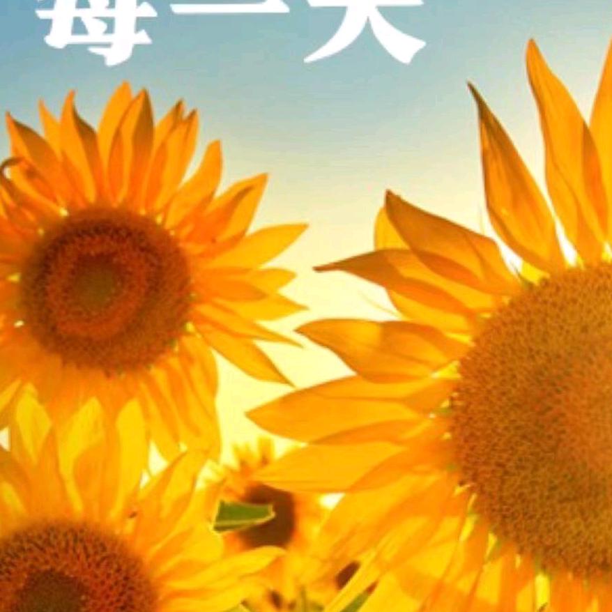 十月阳春