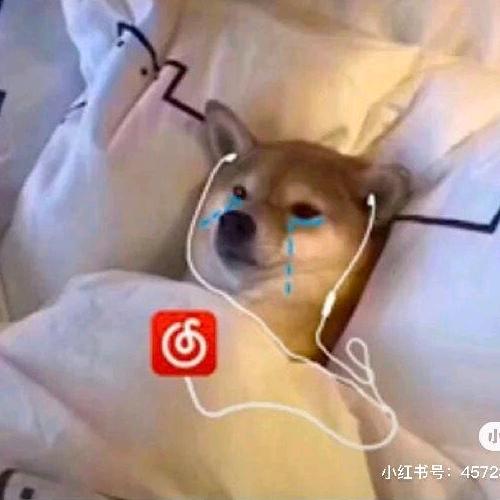故事织梦匠