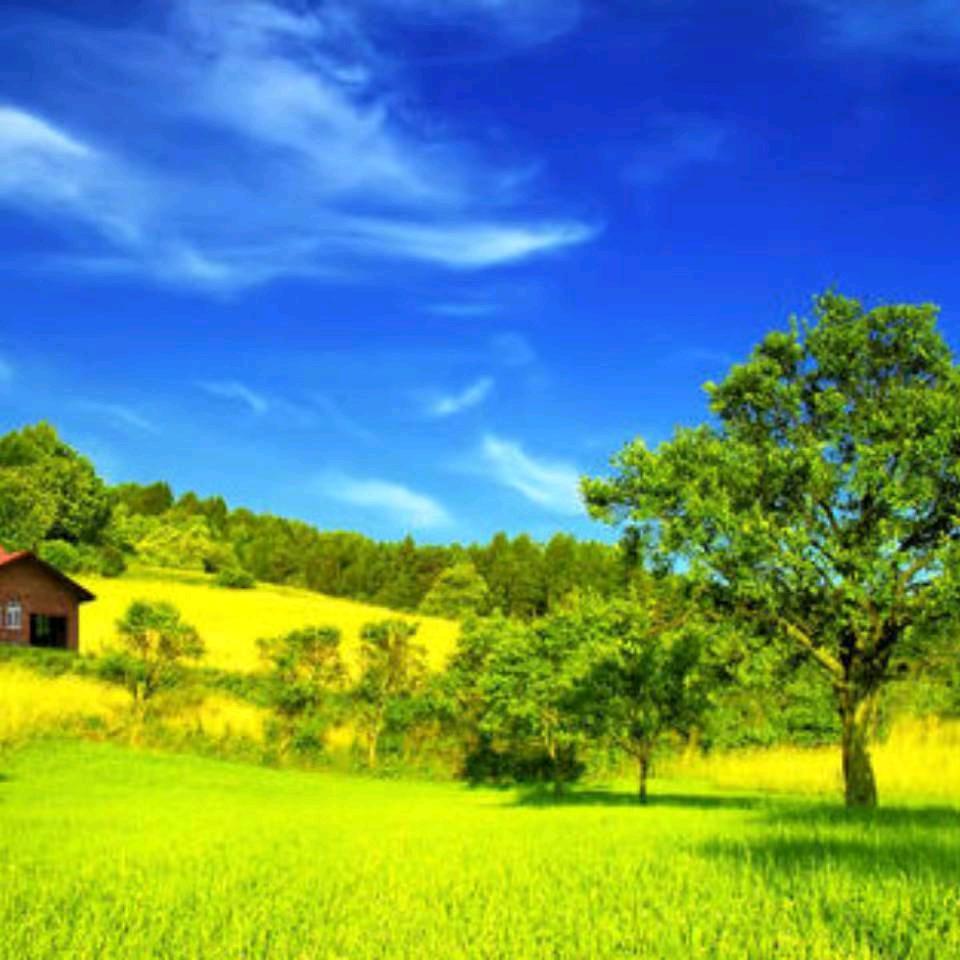 开心快乐的一家