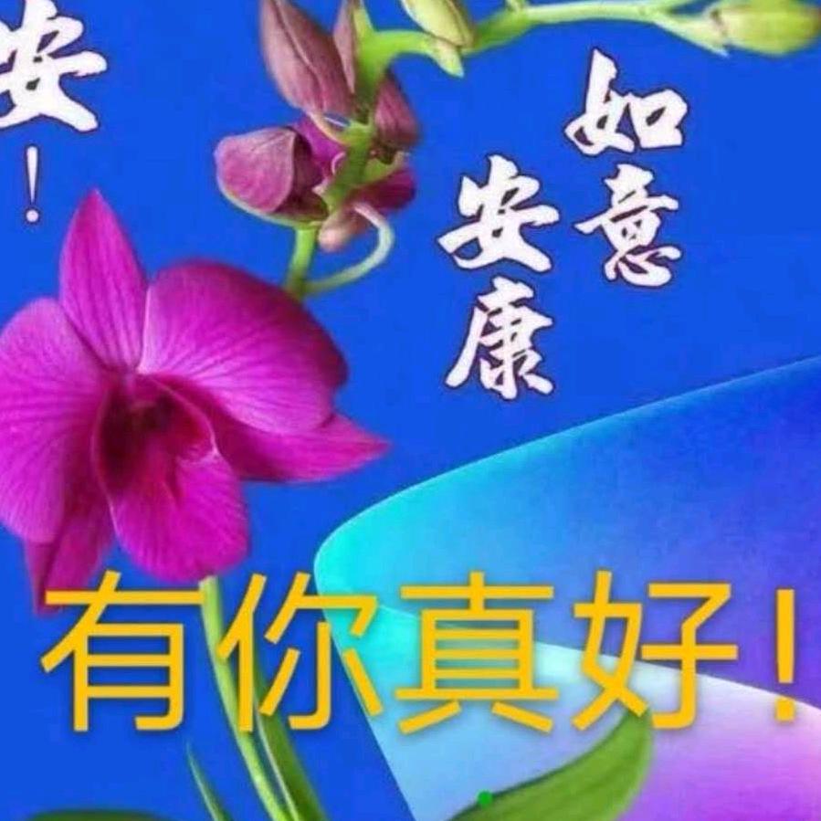 🌟🌟🌟包容的爱🌟🌟🌟