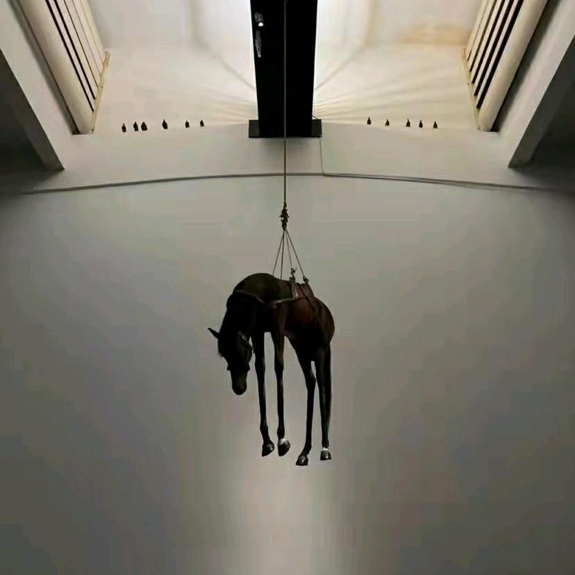 汇叔娱乐