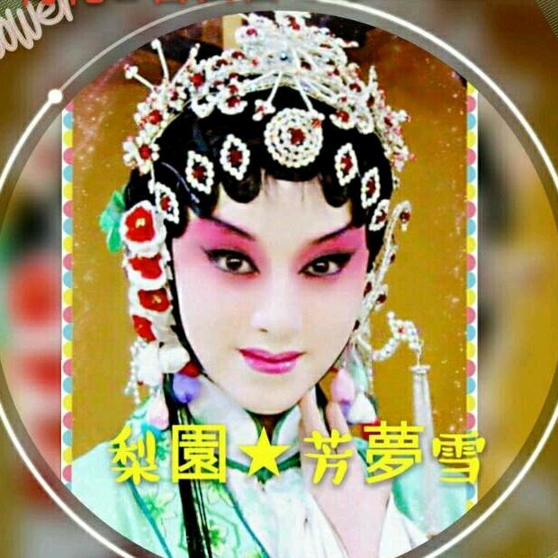 💘✨紫梦飞雪【76年龙】✨💘