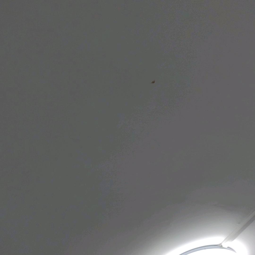 奔四的梦