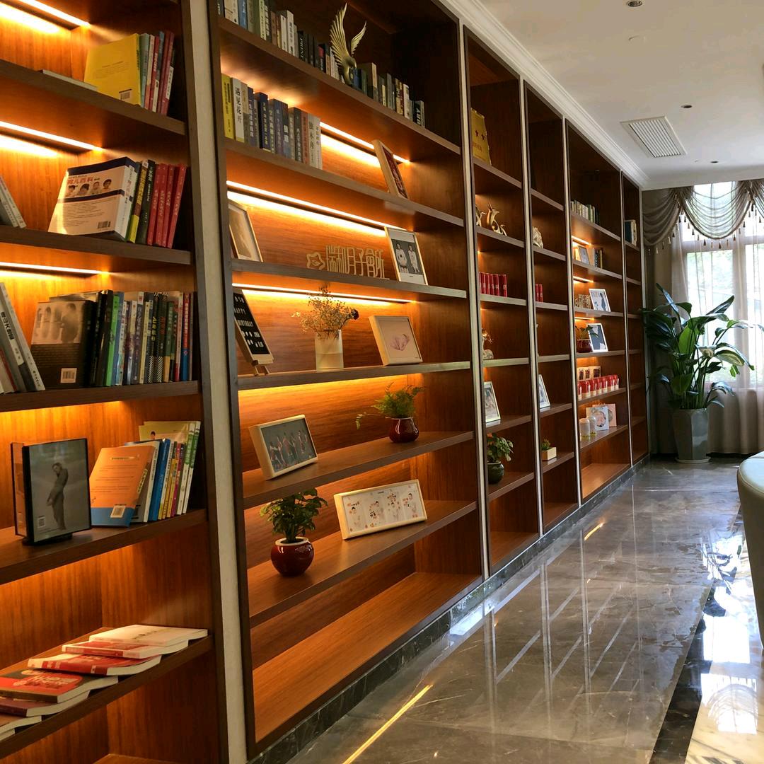 皓泽全屋定制  旗下  东匠 远景