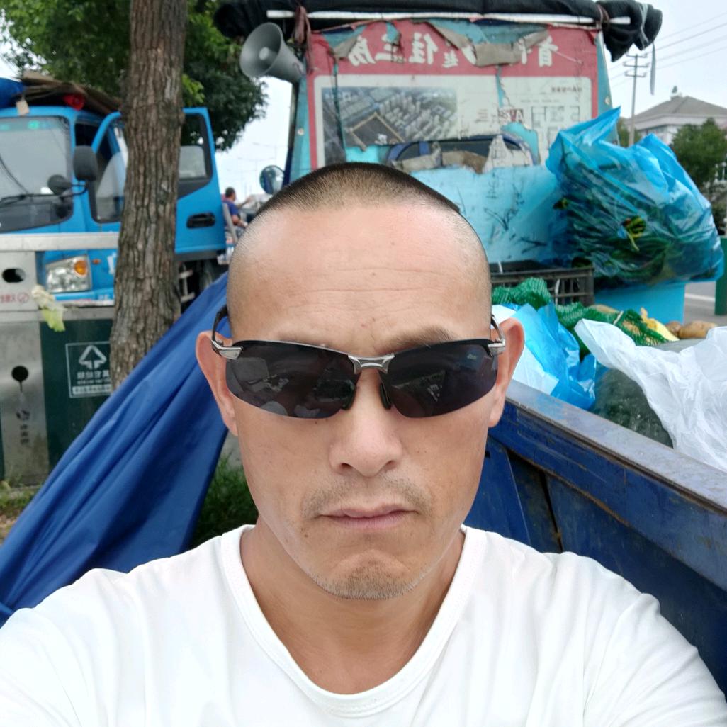 我是伤偶了十二年，养儿不如养狗