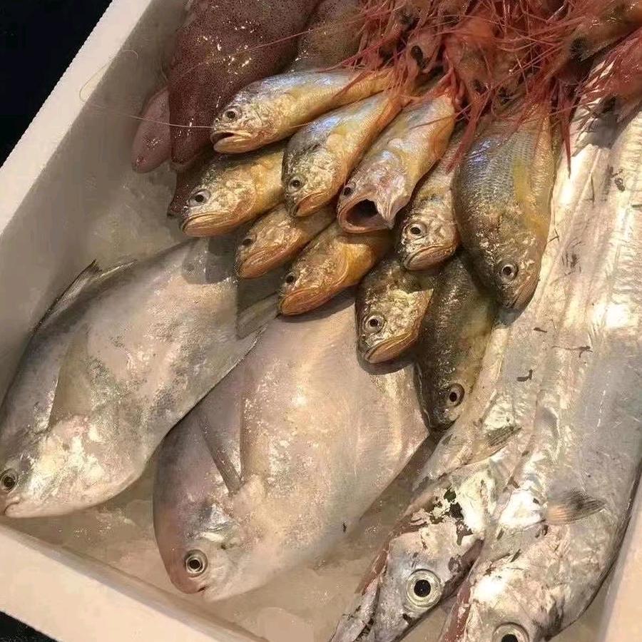 星辰大海