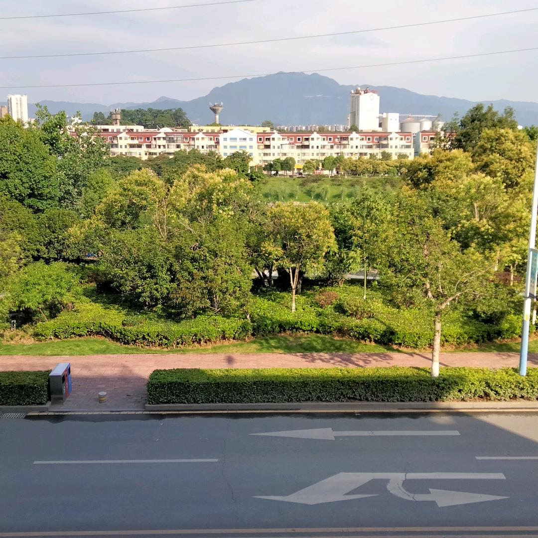 亦然是你