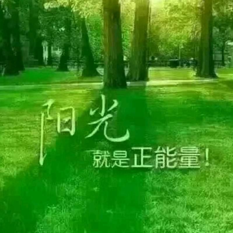 青岛心有阳光