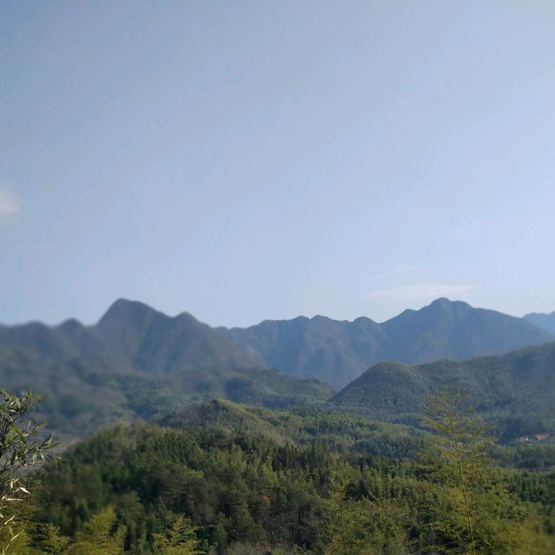 皖约派