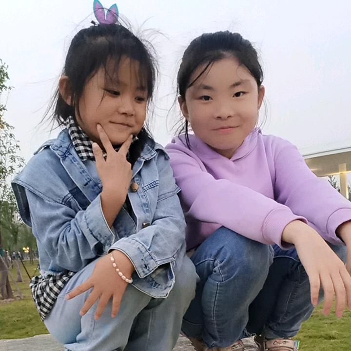 Y  X  丹