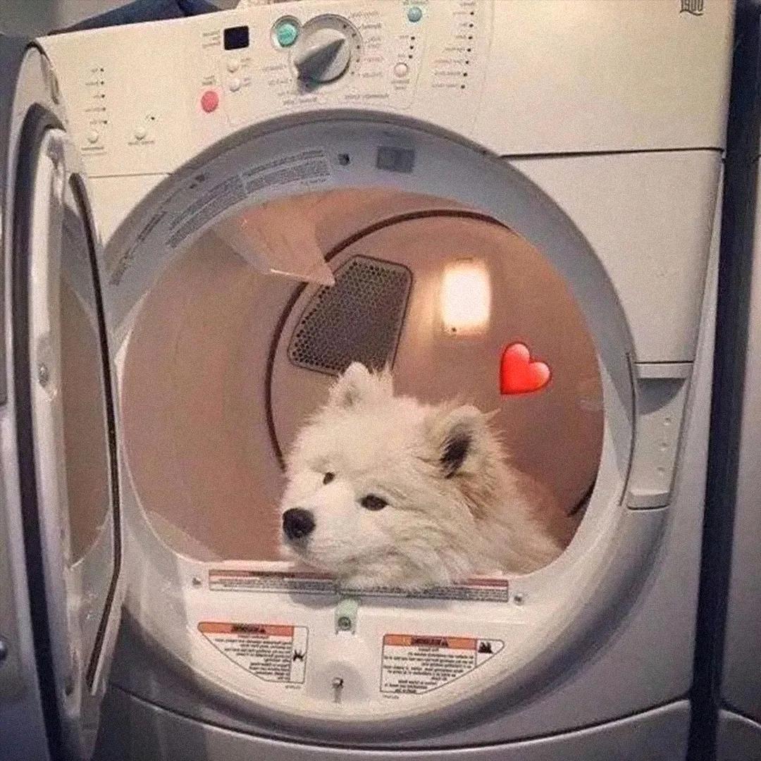 oᐝ