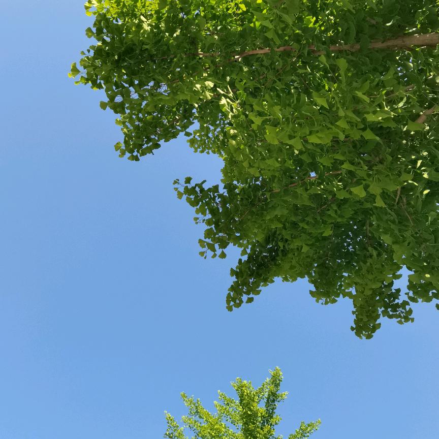 裹上绒围巾