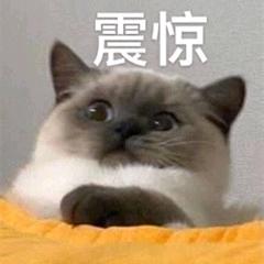 沙雕-虫二