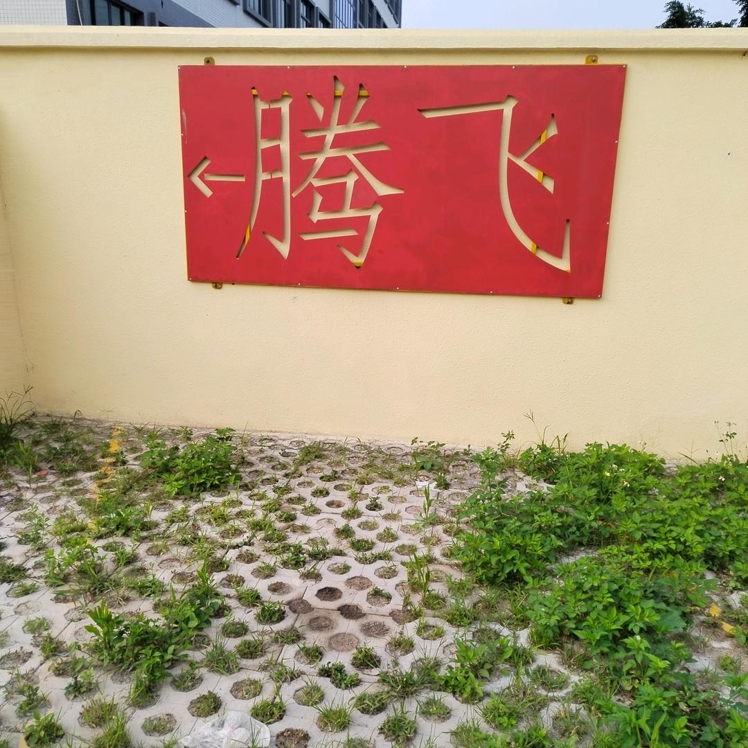 真实的我