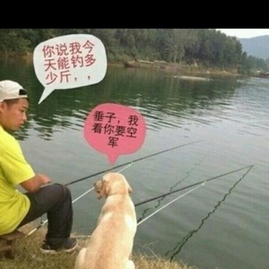 @钓鱼☞🎣人