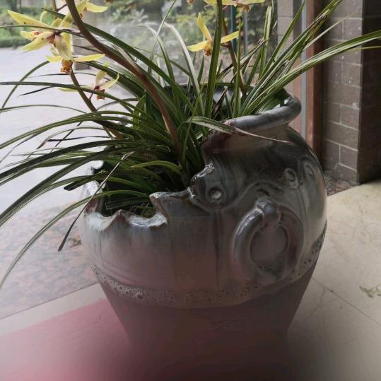 沐雨聆歌