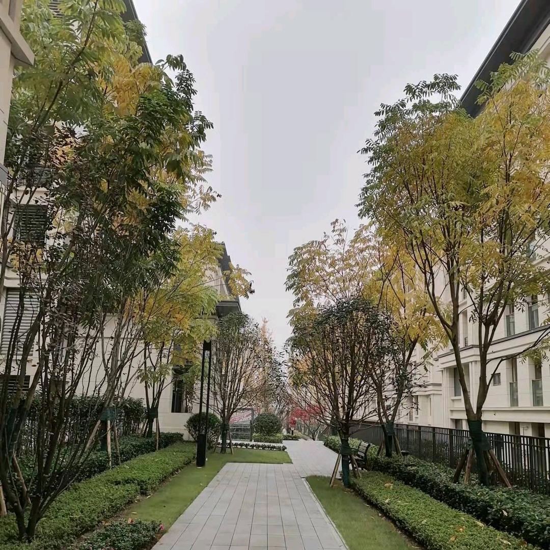 不啃骨头寡喝汤