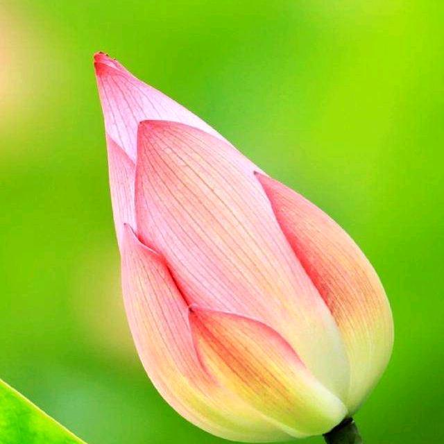 也无风雨也无晴