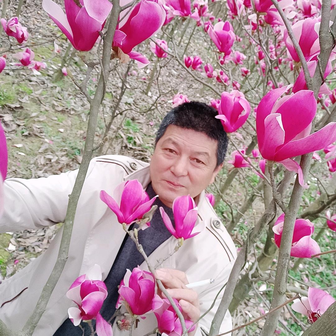 等风我也等你