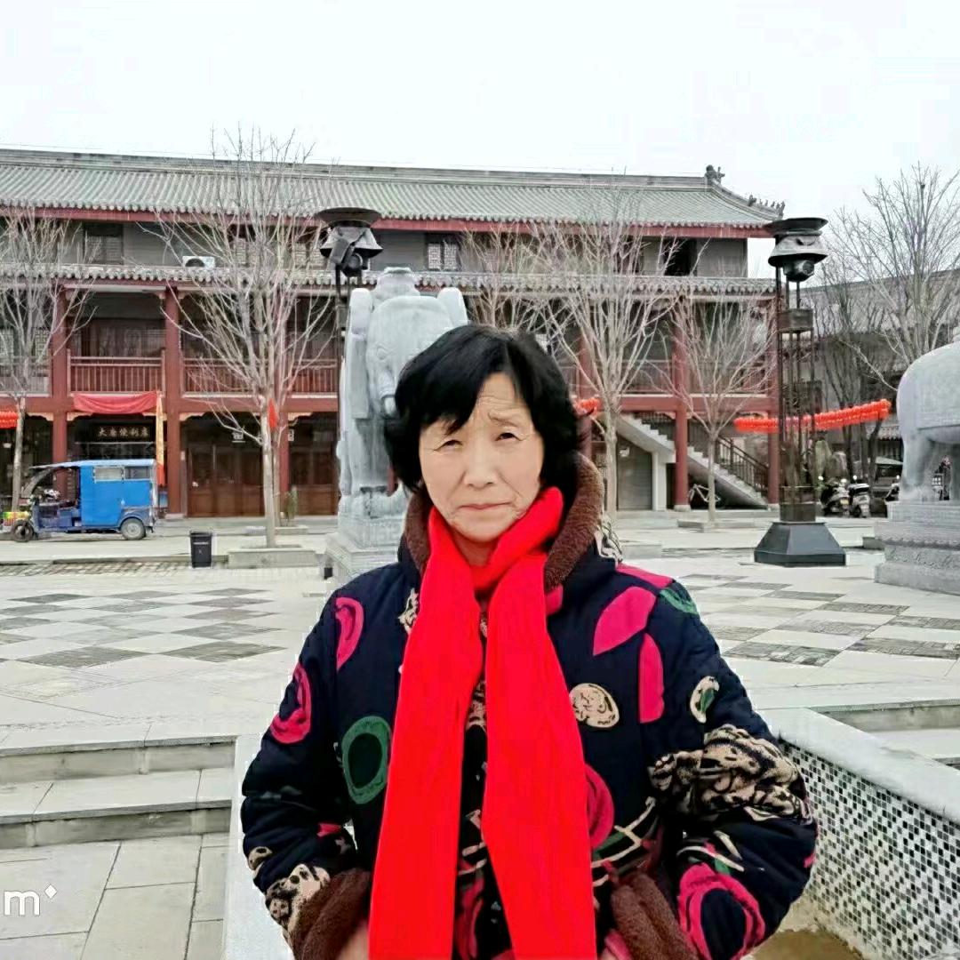 阳光灿烂的日子