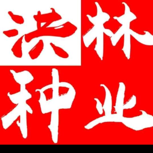 谭哥，洪林种业。