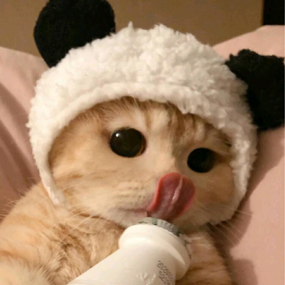 萍