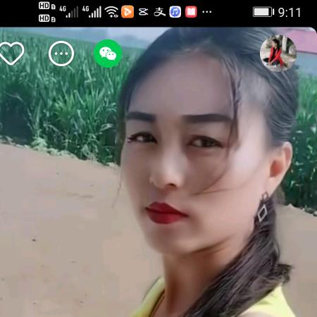 仙人掌