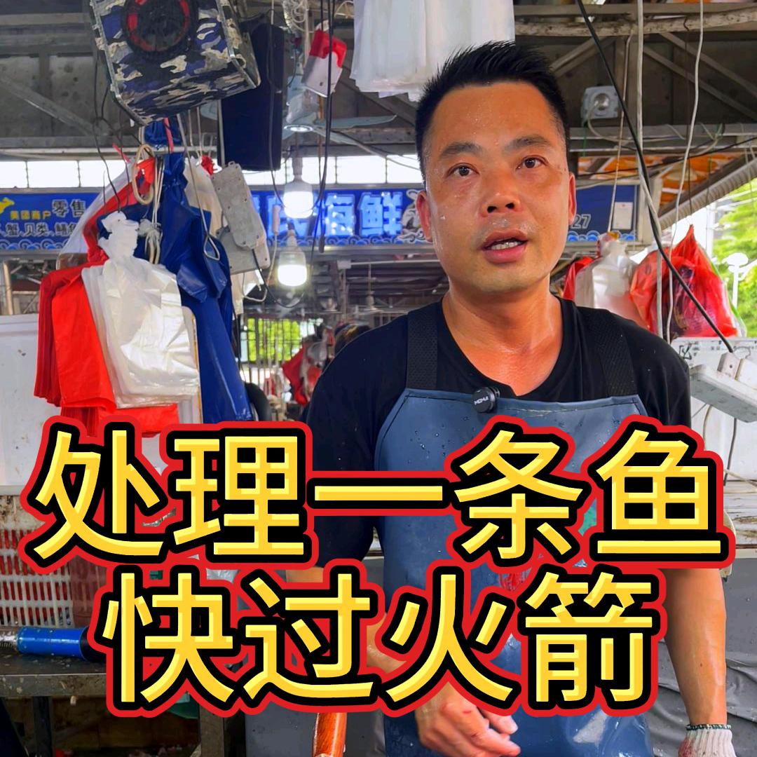 杀鱼伟-Vi