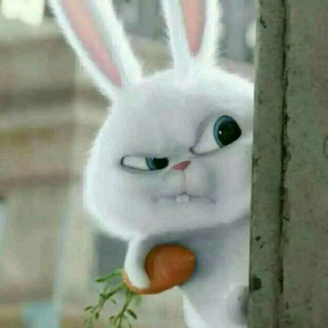 ①天到晚🏊🏻的🐠