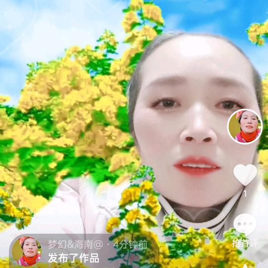 梦幻&海南@