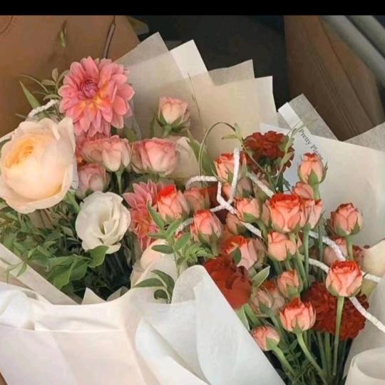 橙子好甜🍊🍊🍊🍊🍊